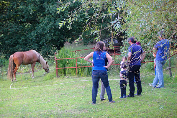 Actividades familia