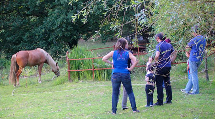 Actividades familia